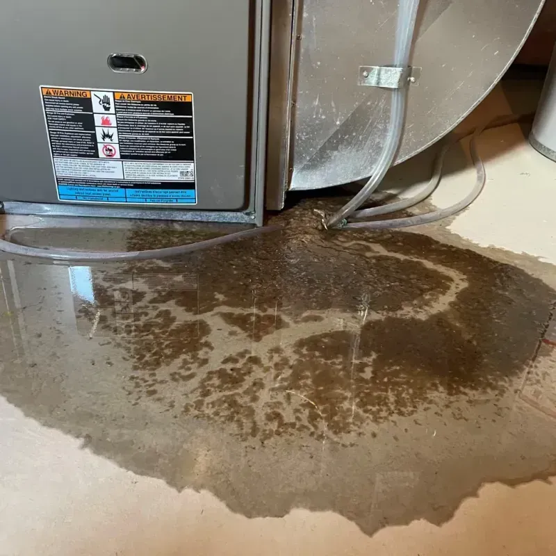 Appliance Leak Cleanup in London, KY